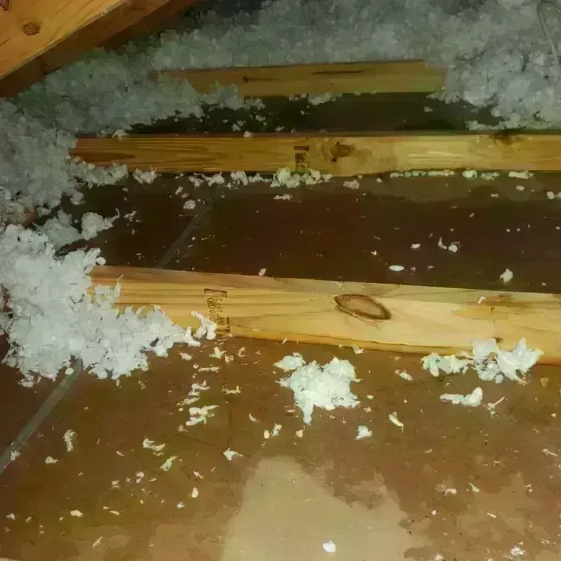 Attic Water Damage in Lordstown, OH