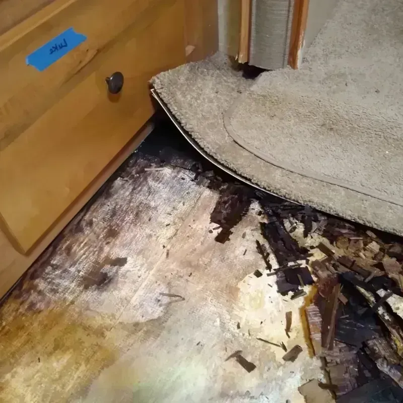 Best Wood Floor Water Damage Service in Lordstown, OH